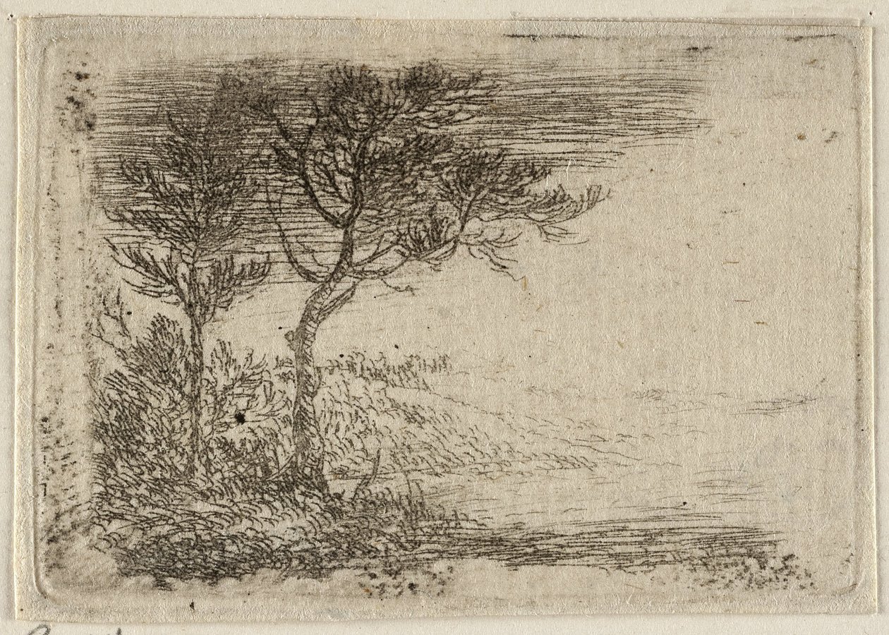  av Pieter van Laer