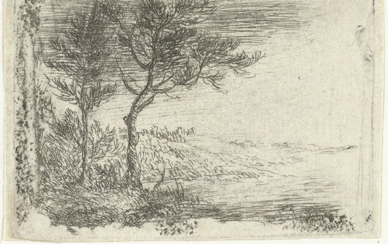  av Pieter van Laer