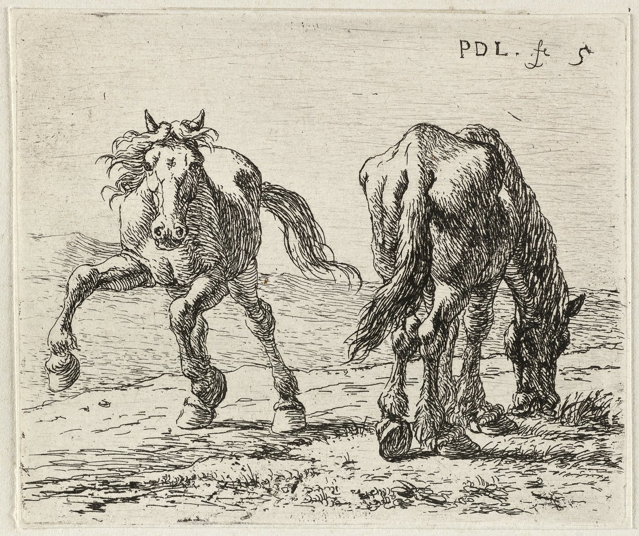  av Pieter van Laer
