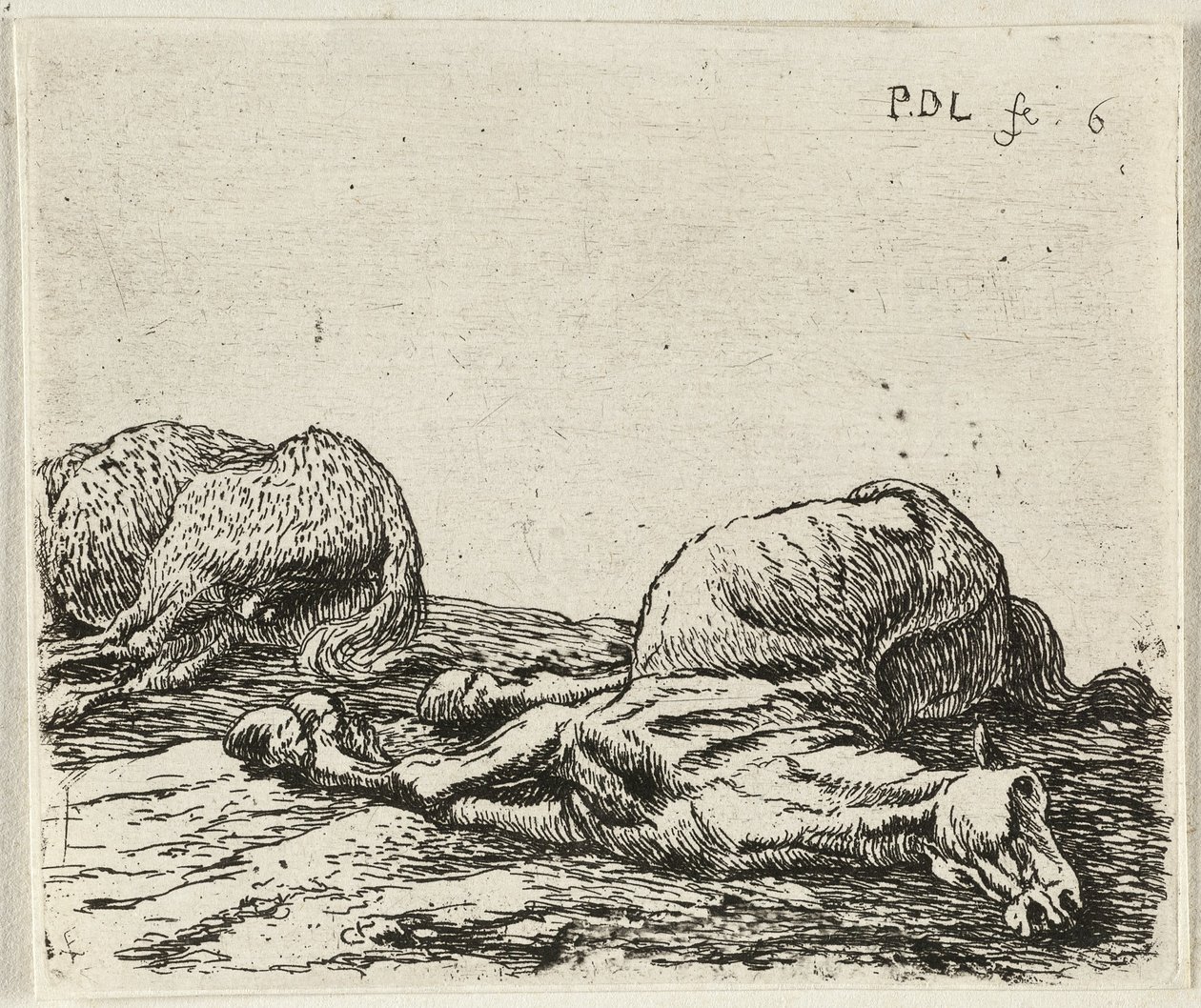  av Pieter van Laer
