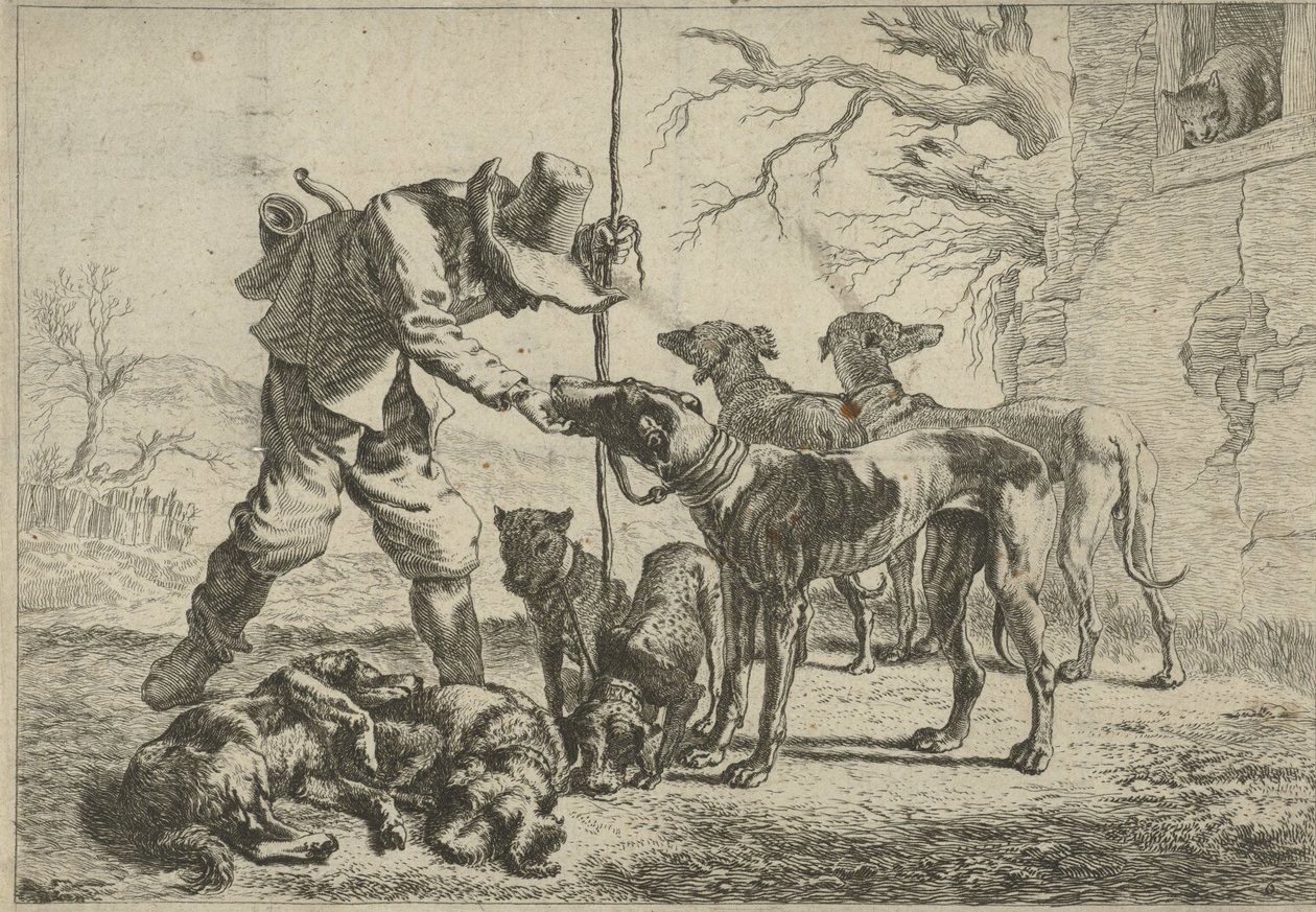  av Pieter van Laer