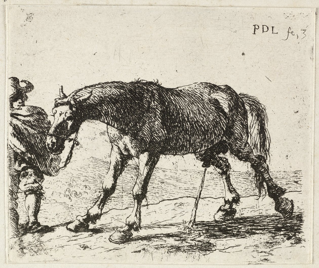  av Pieter van Laer