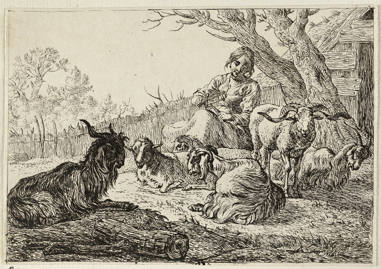  av Pieter van Laer