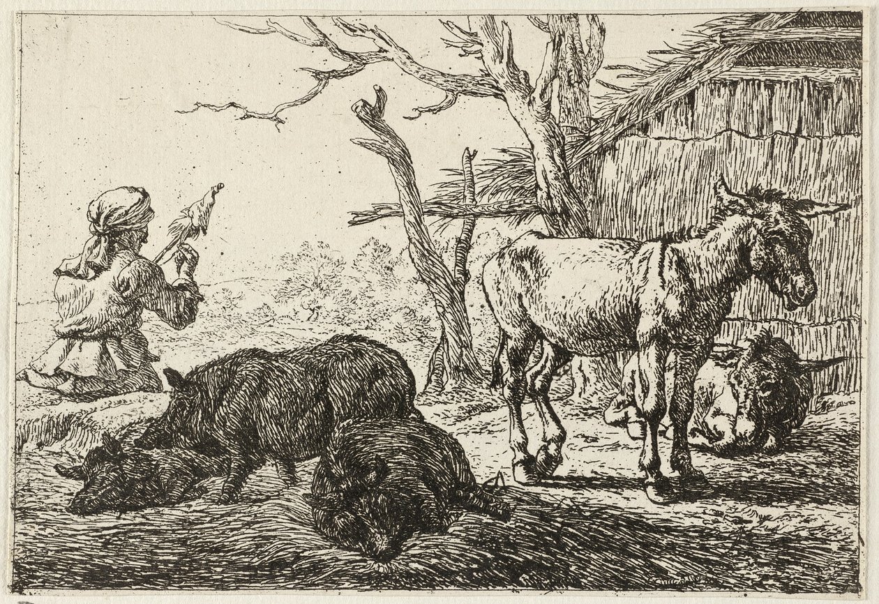  av Pieter van Laer