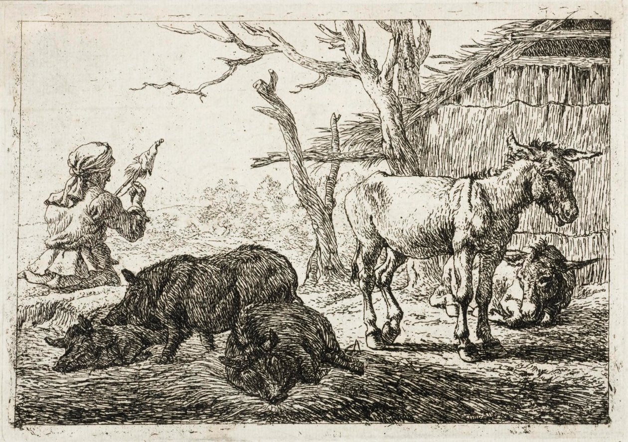 av Pieter van Laer