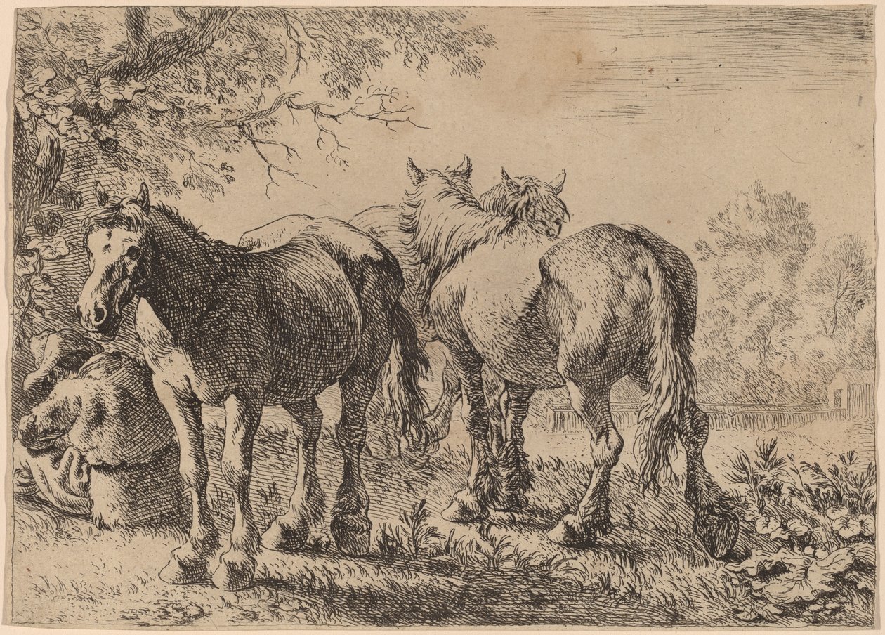 Tre hester på et felt av Pieter van Laer