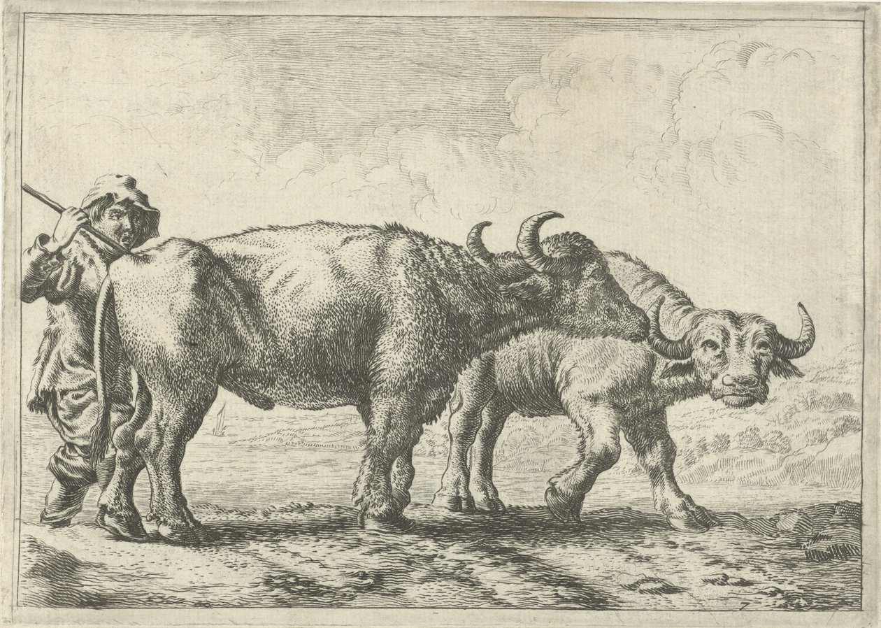  av Pieter van Laer