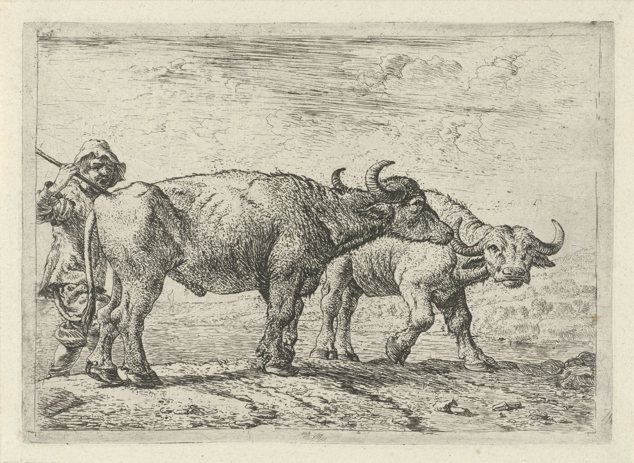  av Pieter van Laer