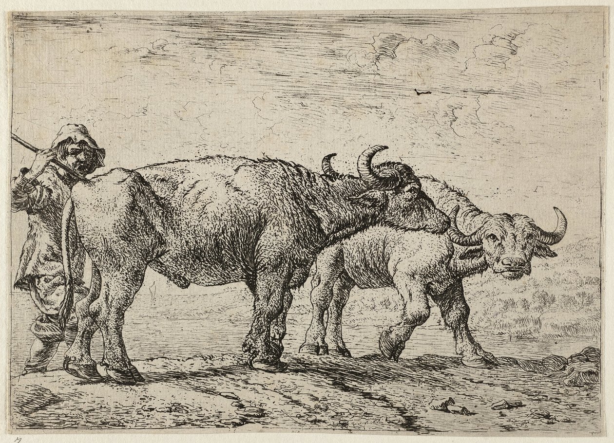  av Pieter van Laer