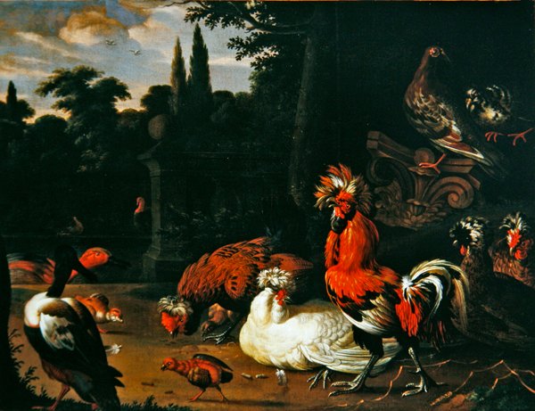 En hane, kyllinger, kyllinger og ender i hagemiljø (olje på lerret) av Pieter van Mase