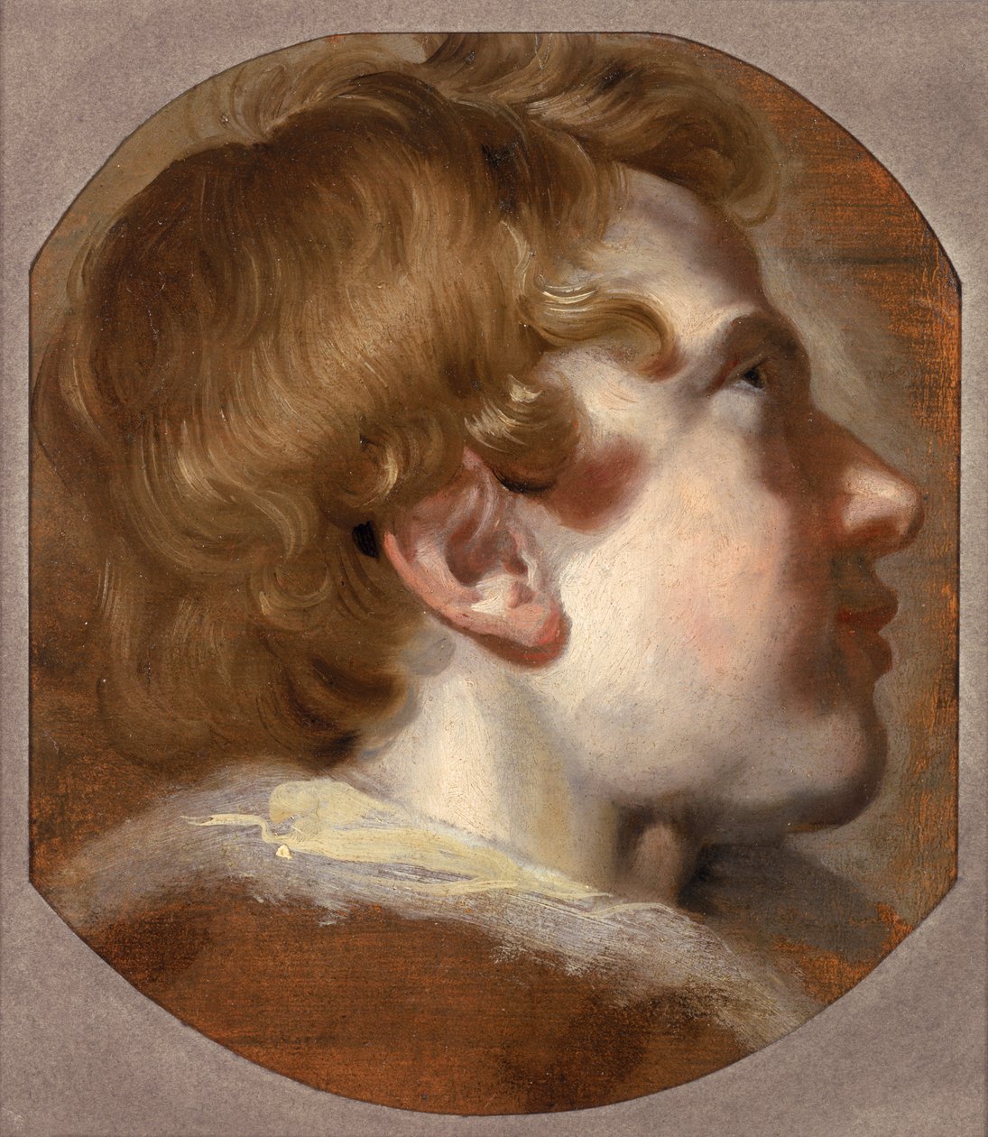 Head of a Young Boy, ca. 1620-tallet (olje på papir) av Pieter van Mol