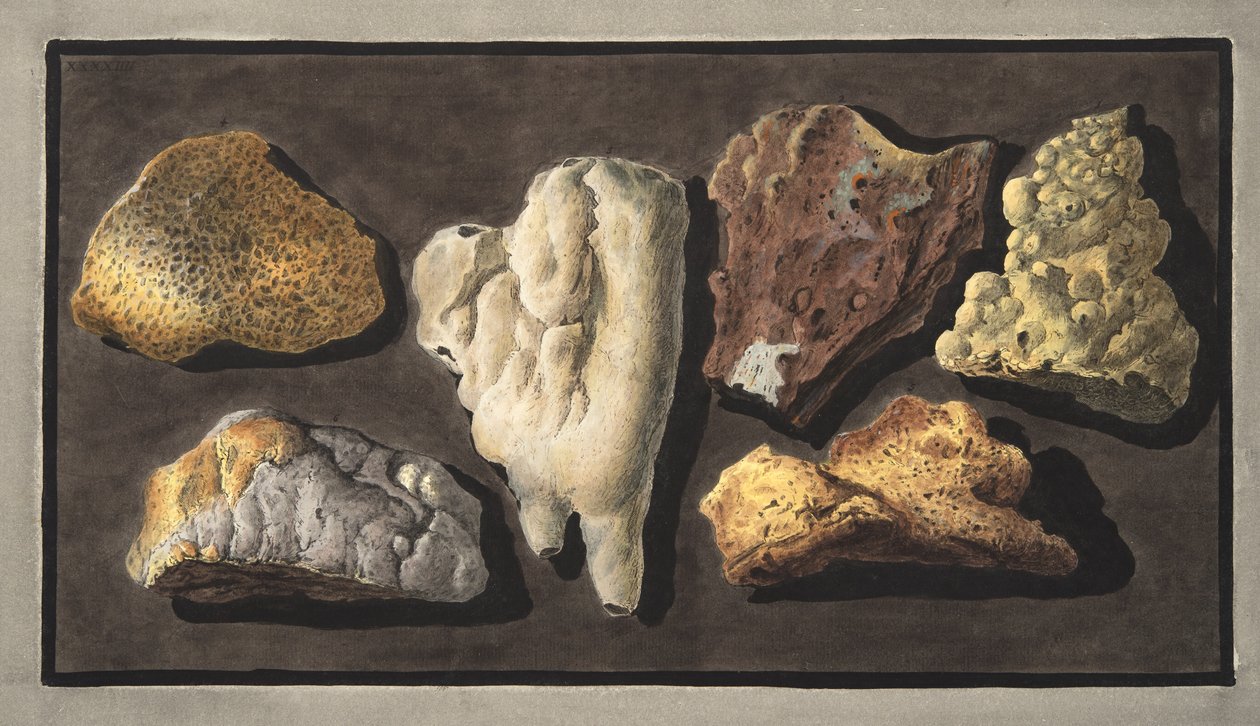 Prøver av vulkansk materiale tatt fra innsiden av krateret til Vesuv, plate XXXXIV, fra 