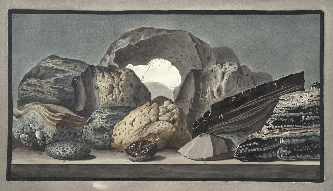 Vitrifications og andre vulkanske produksjoner, Plate LII, fra 'Campi Phlegraei: Observations on the Volcanoes of the Two Sicilies', av Sir William Hamilton (1730-1803), utgitt 1776 (håndfarget av Pietro Fabris