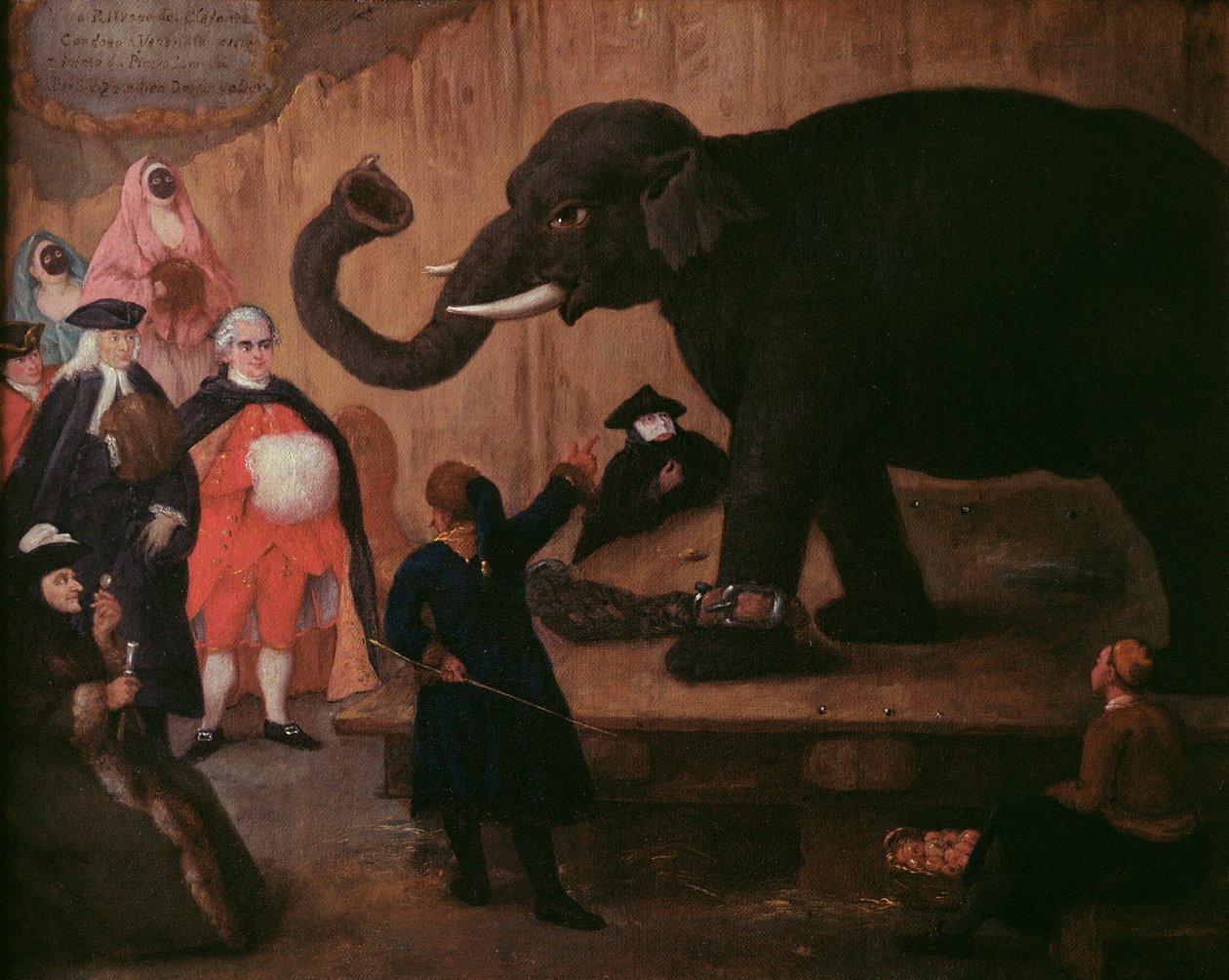 En elefant vist i Venezia av Pietro Longhi