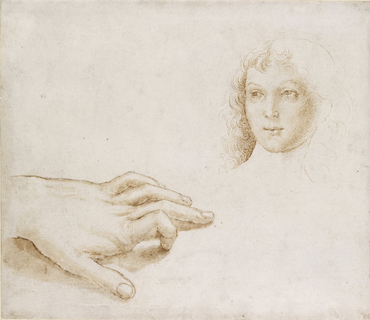 Studier av et hode og en hånd, WA1846.8 av Pietro Perugino
