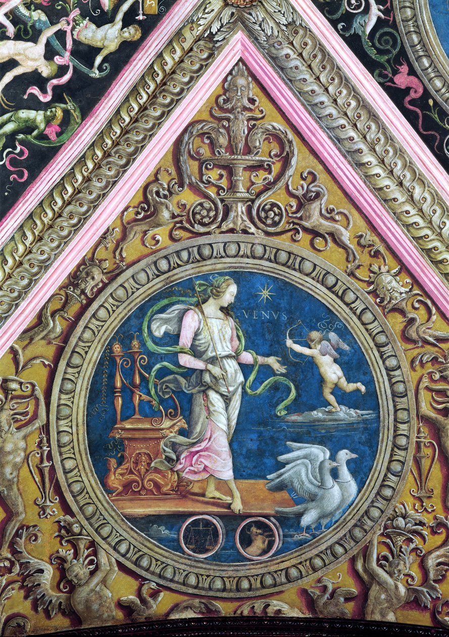 Venus, fra Sala dell