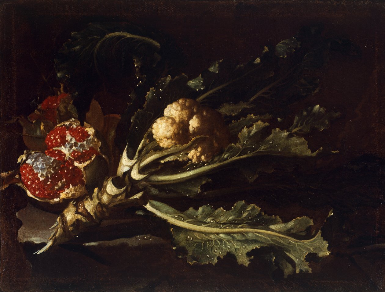 Blomkål og granatepler av Pietro Paolo Bonzi
