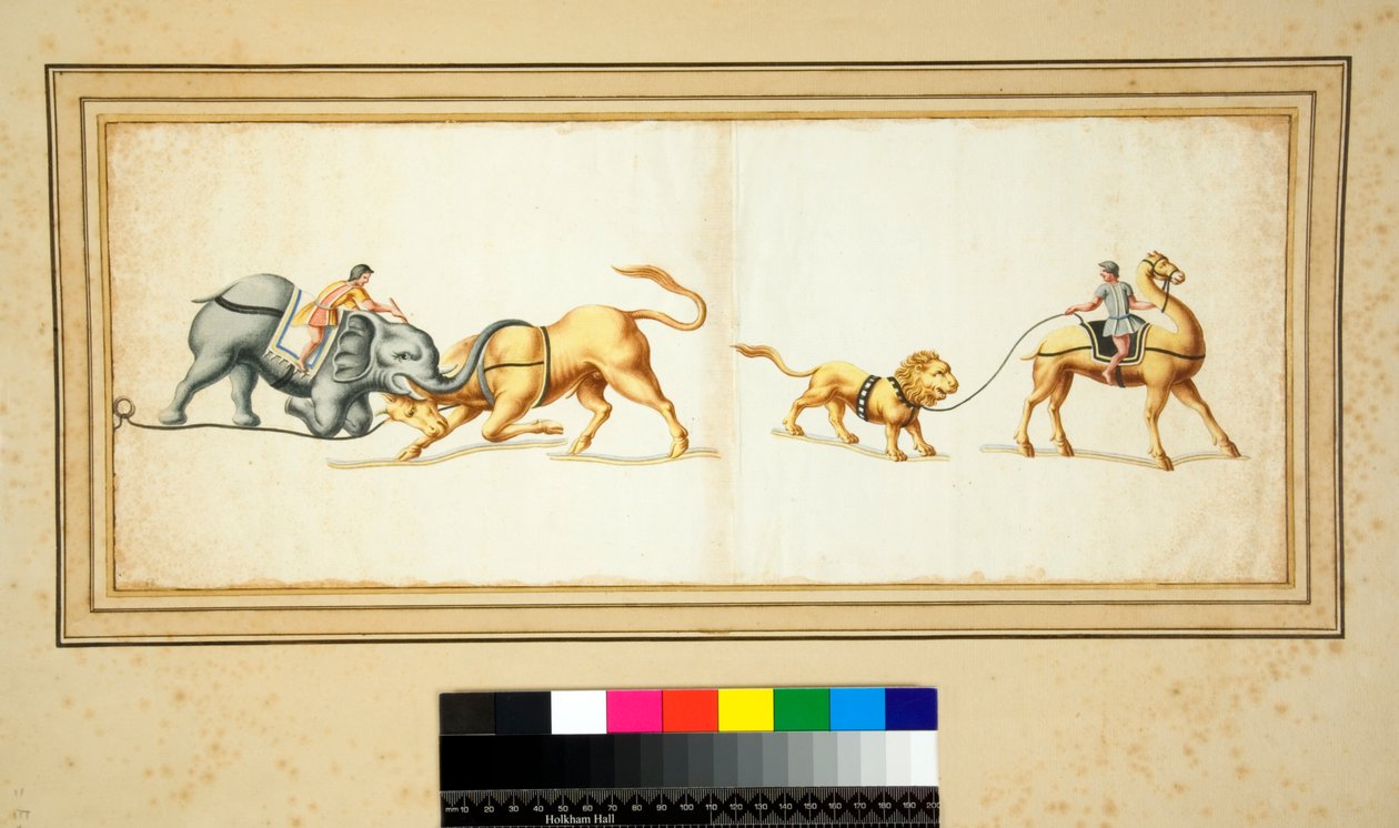 Kopi av en mosaikk av en elefant som kjemper mot en okse (svart kritt, noen med penn og brunt blekk. farget med akvarell) av Pietro Santi Bartoli