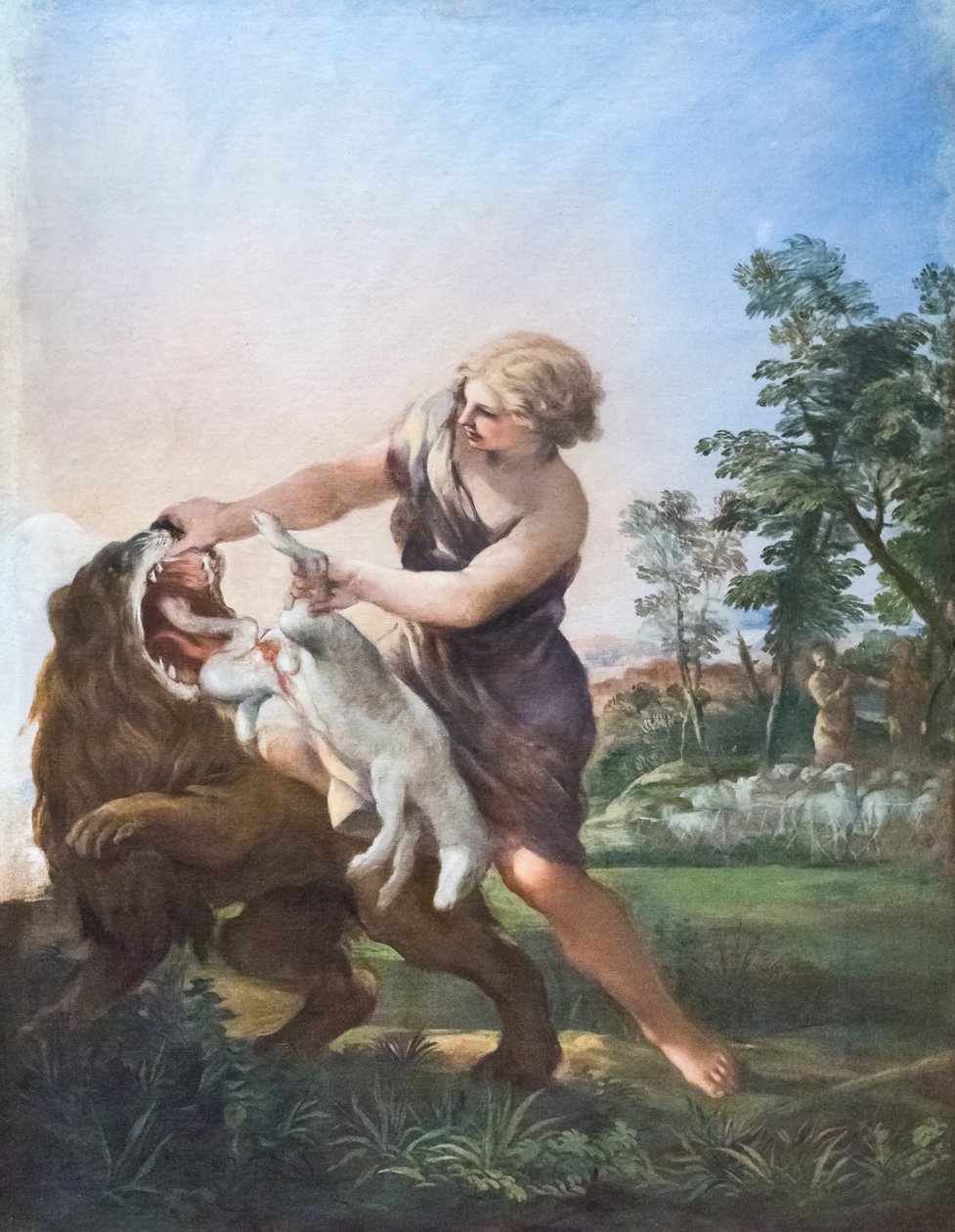 David Killing the Lion (olje på lerret) av Pietro da (1596 1669) Cortona