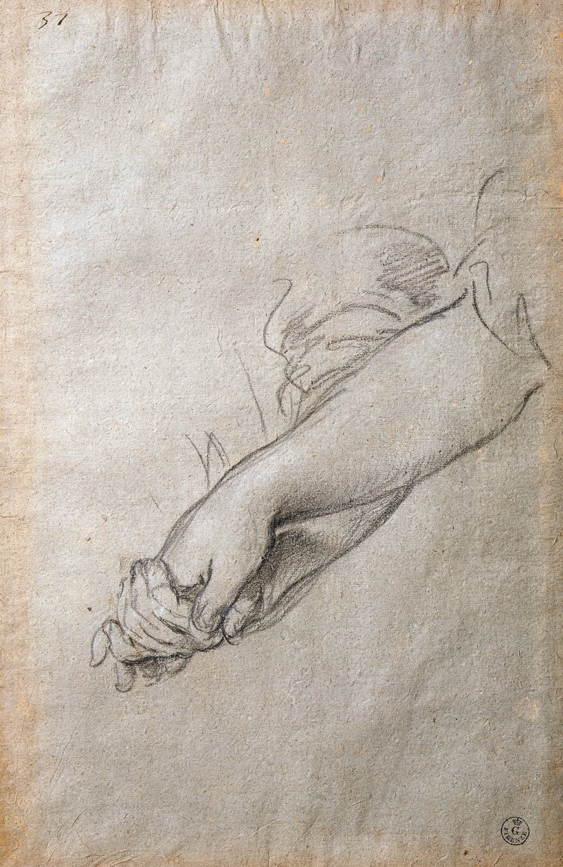 Hender og armer, studie for The Golden Acortonage fresco av Pietro da Cortona