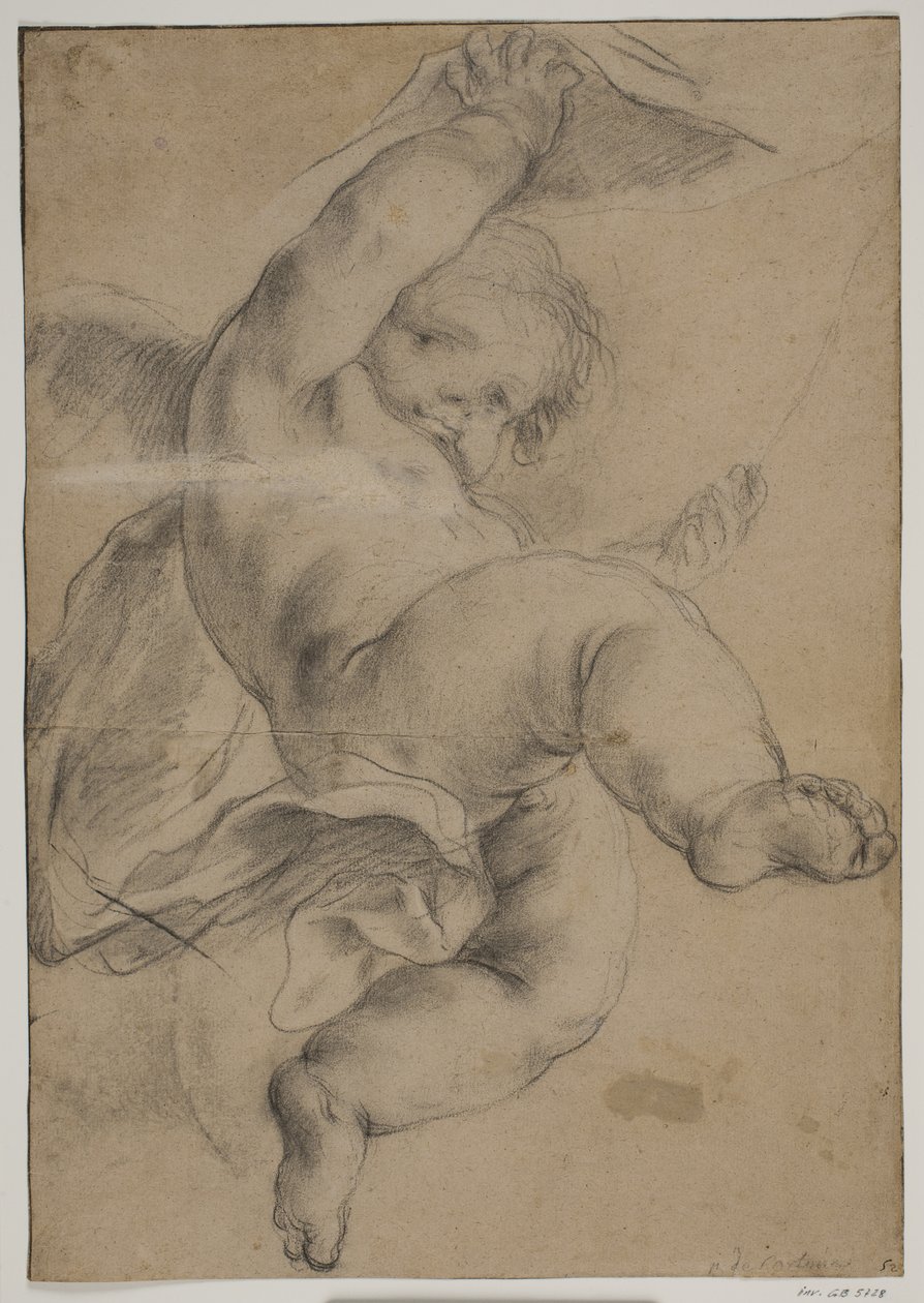 Flying putto løfte en gardin av Pietro da Cortona