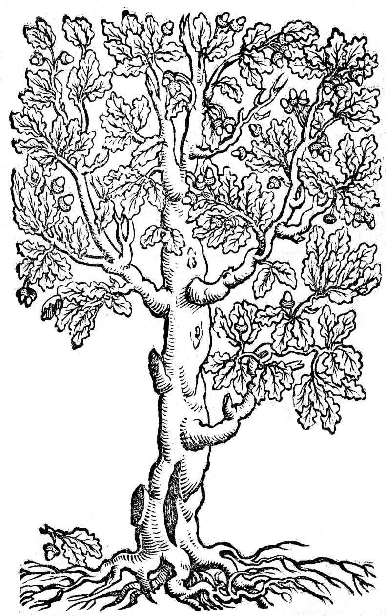  av Pietro de