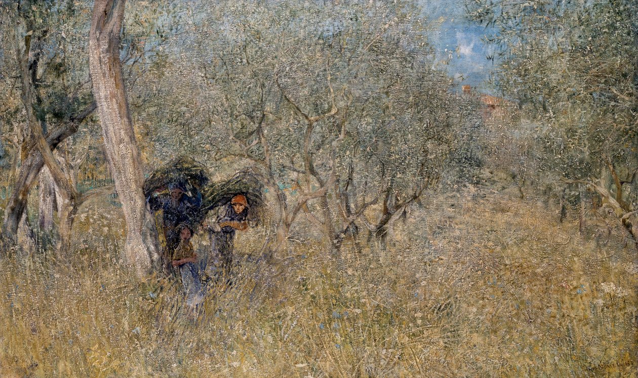 Blant oliventrær, faskiner, av Plinio Nomellini (1866-1943), olje på lerret, 60x100 cm av Plinio Nomellini