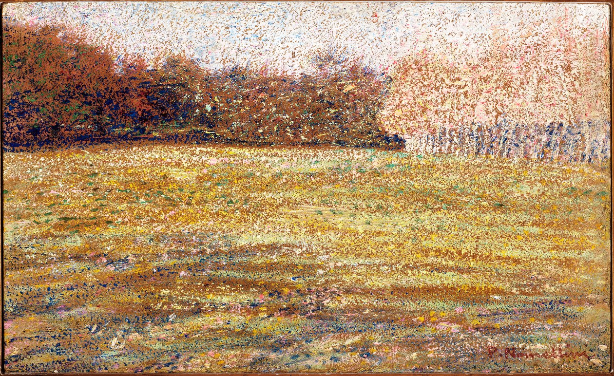 På Cascine, Firenze, 1889-90 av Plinio Nomellini