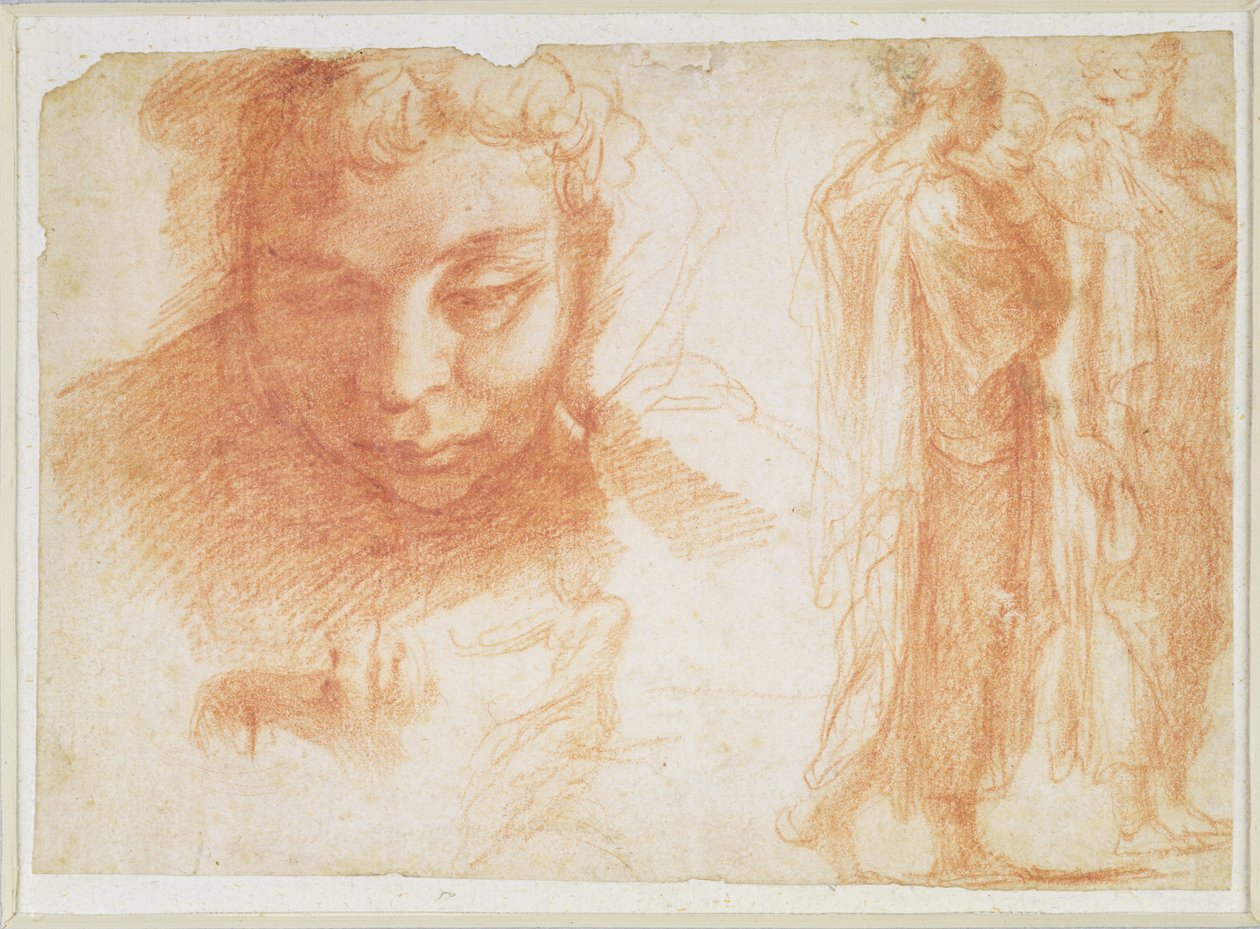 Studier for hodet til en ungdom som ser ned og for Jomfruen til bebudelsen, ca. 1527-28 (rødt kritt på papir) av Polidoro da Caravaggio