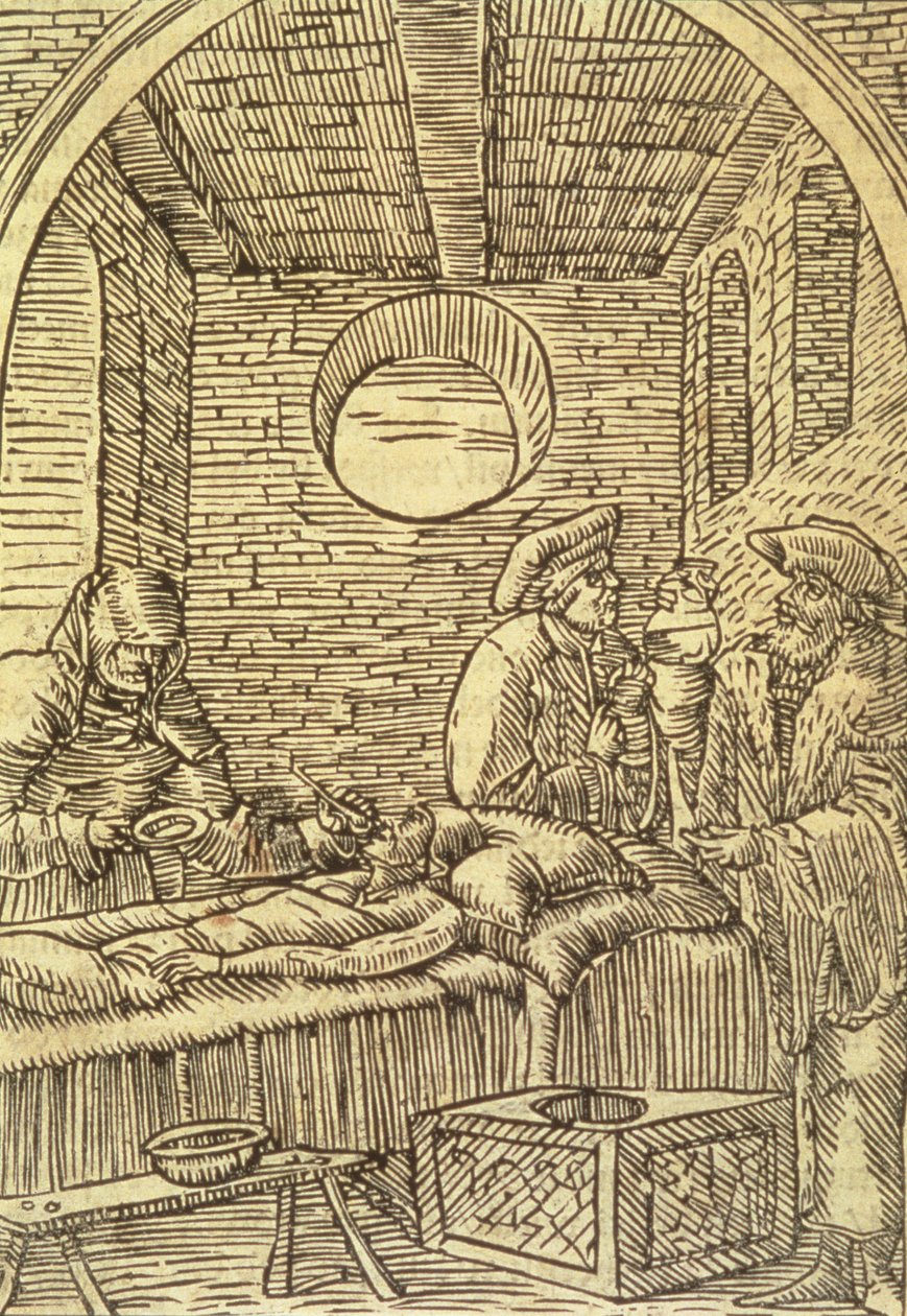 Administrering av medisinske urter, 1534 av Polish School
