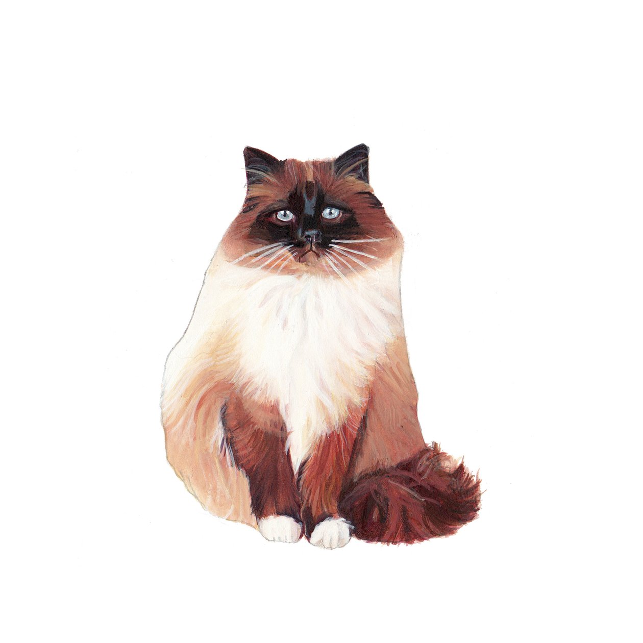 Birmakatt, 2014 (akvarell og gouache på papir) av Polly Horner