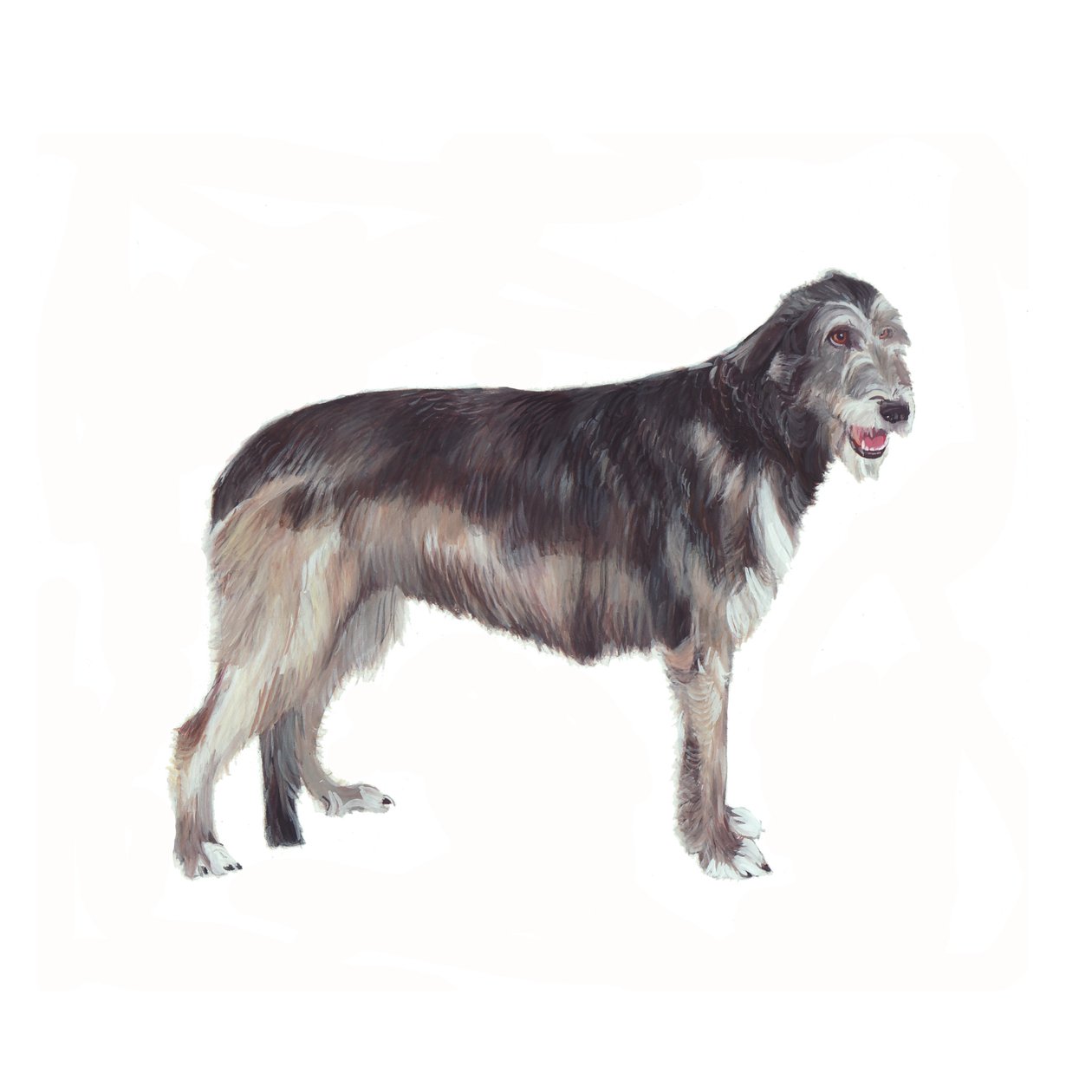 Irsk ulvehund, 2011 (akvarell og gouache på papir) av Polly Horner