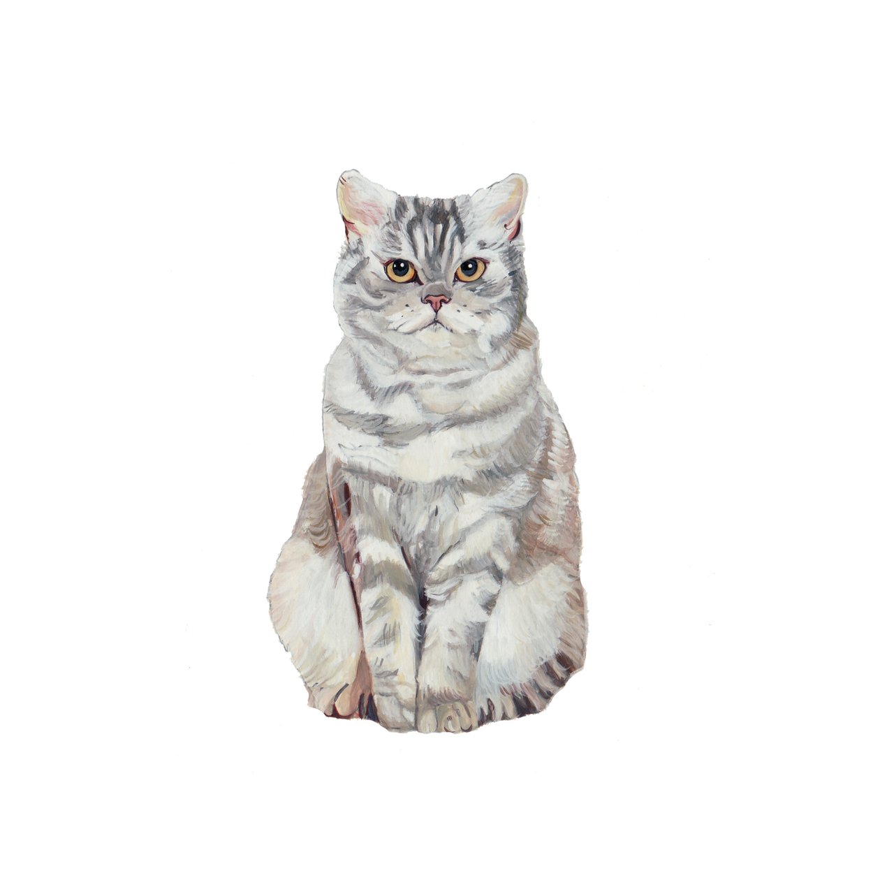 Selkirk Rex, 2014 (akvarell og gouache på papir) av Polly Horner