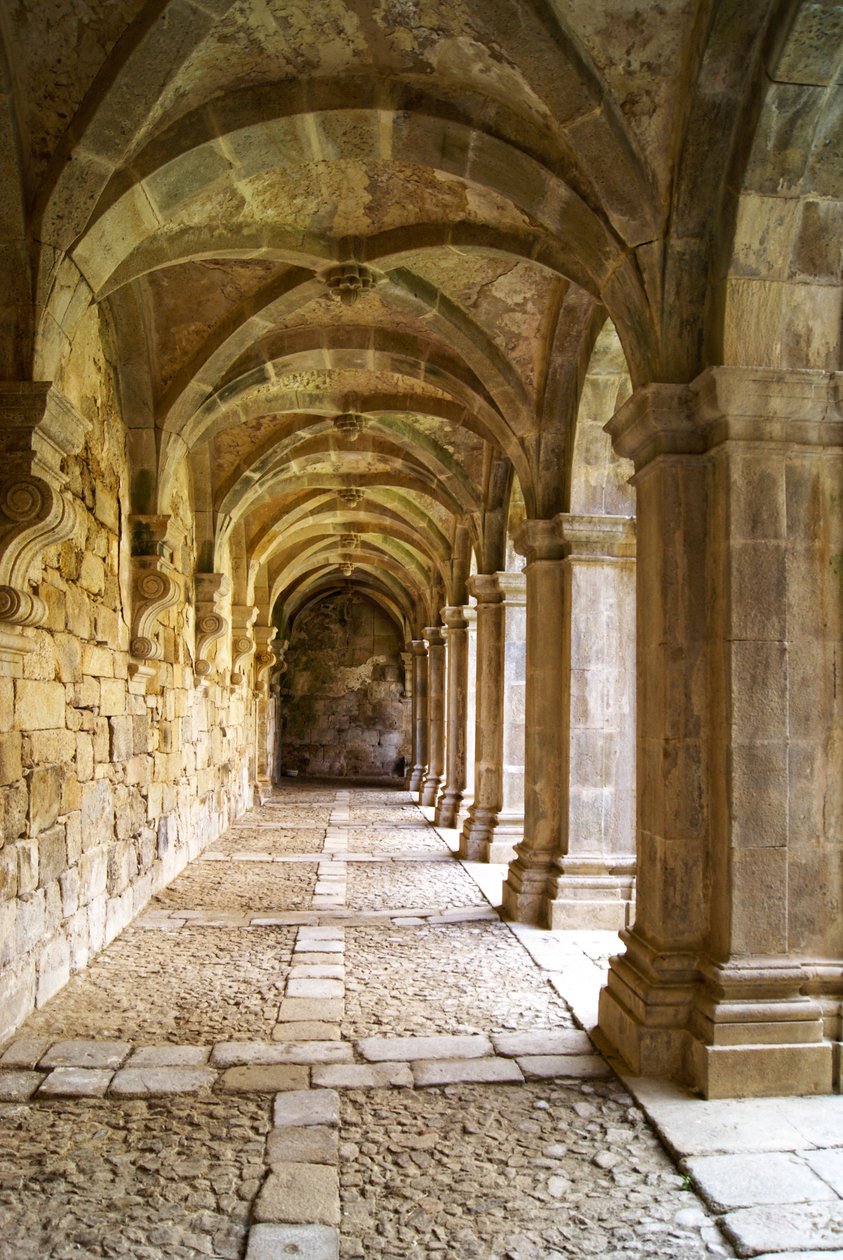 Utsikt over klosteret, klosteret Santa Maria de Salzedas, Tarouca, Portugal (stein) av Portuguese School