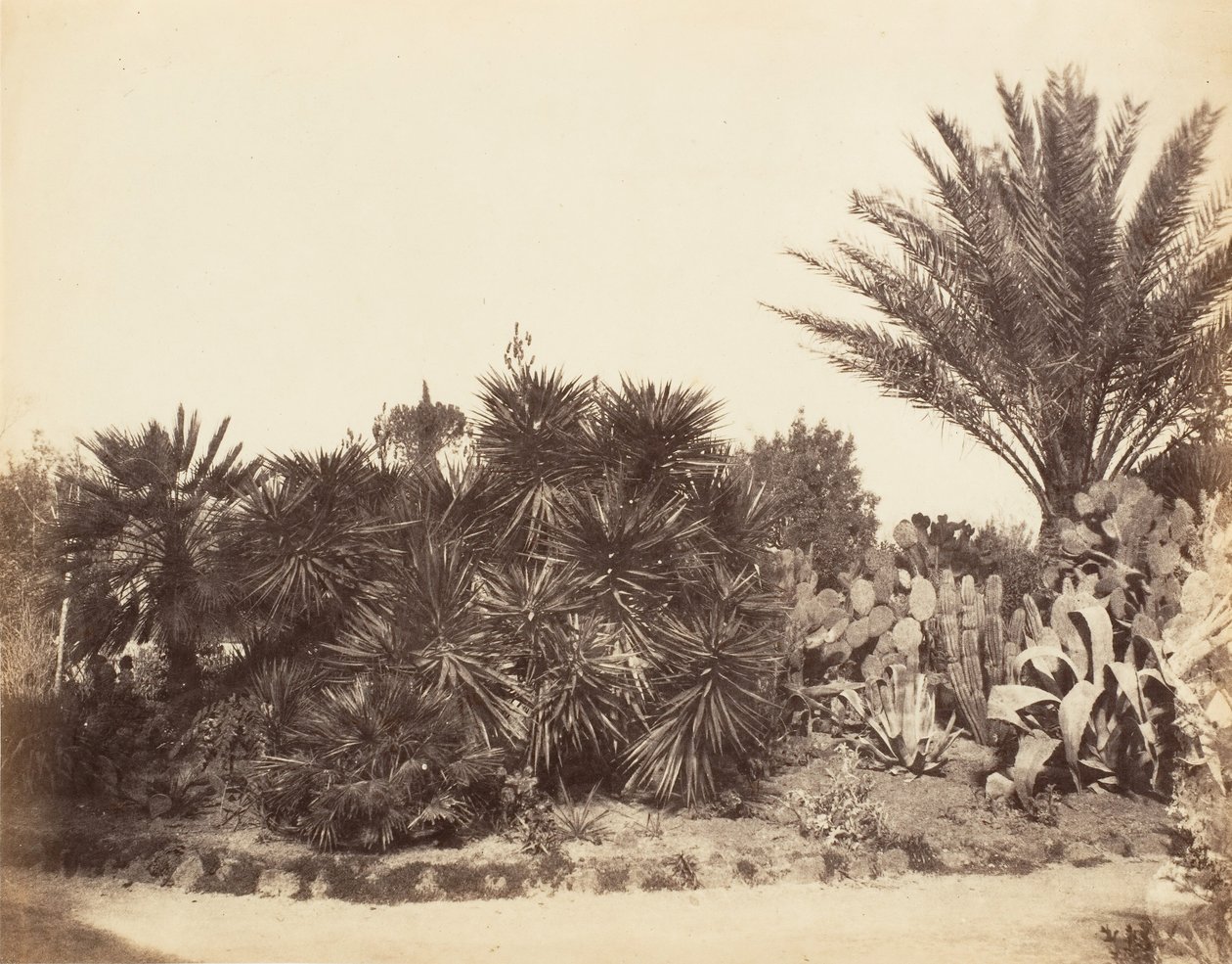 Pincian Garden, Roma, 1853-56. av Possibly by Jane Martha St. John.
