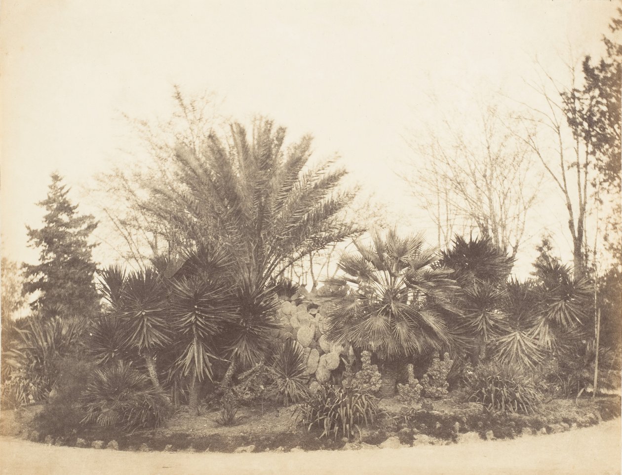 Pincian Garden, Roma, 1853-56. av Possibly by Jane Martha St. John.