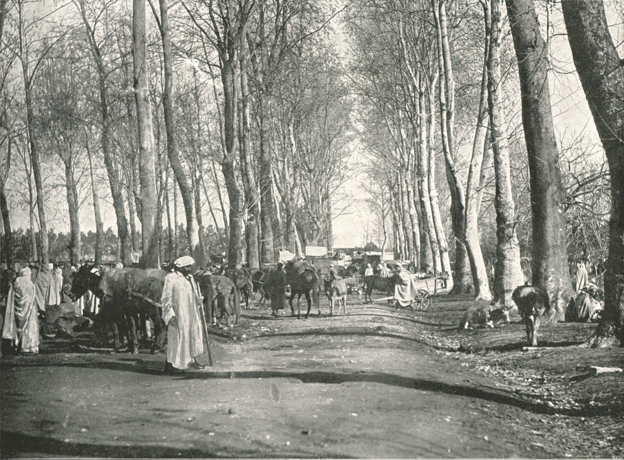 Arabisk messe og marked, Boufarik, Algerie, 1895. av Poulton and Co