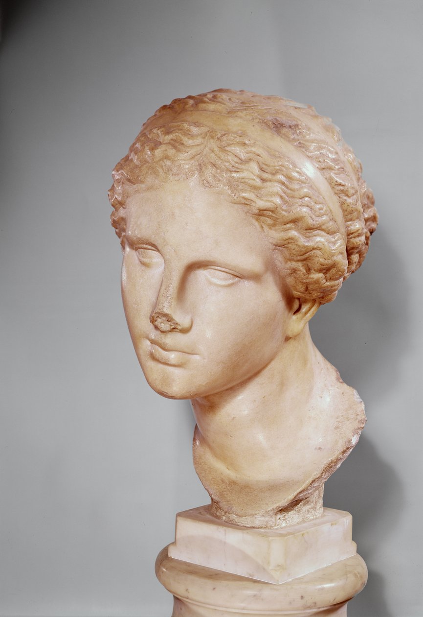 Venus of Martres , romersk kopi av en gresk original (marmor) av Praxiteles