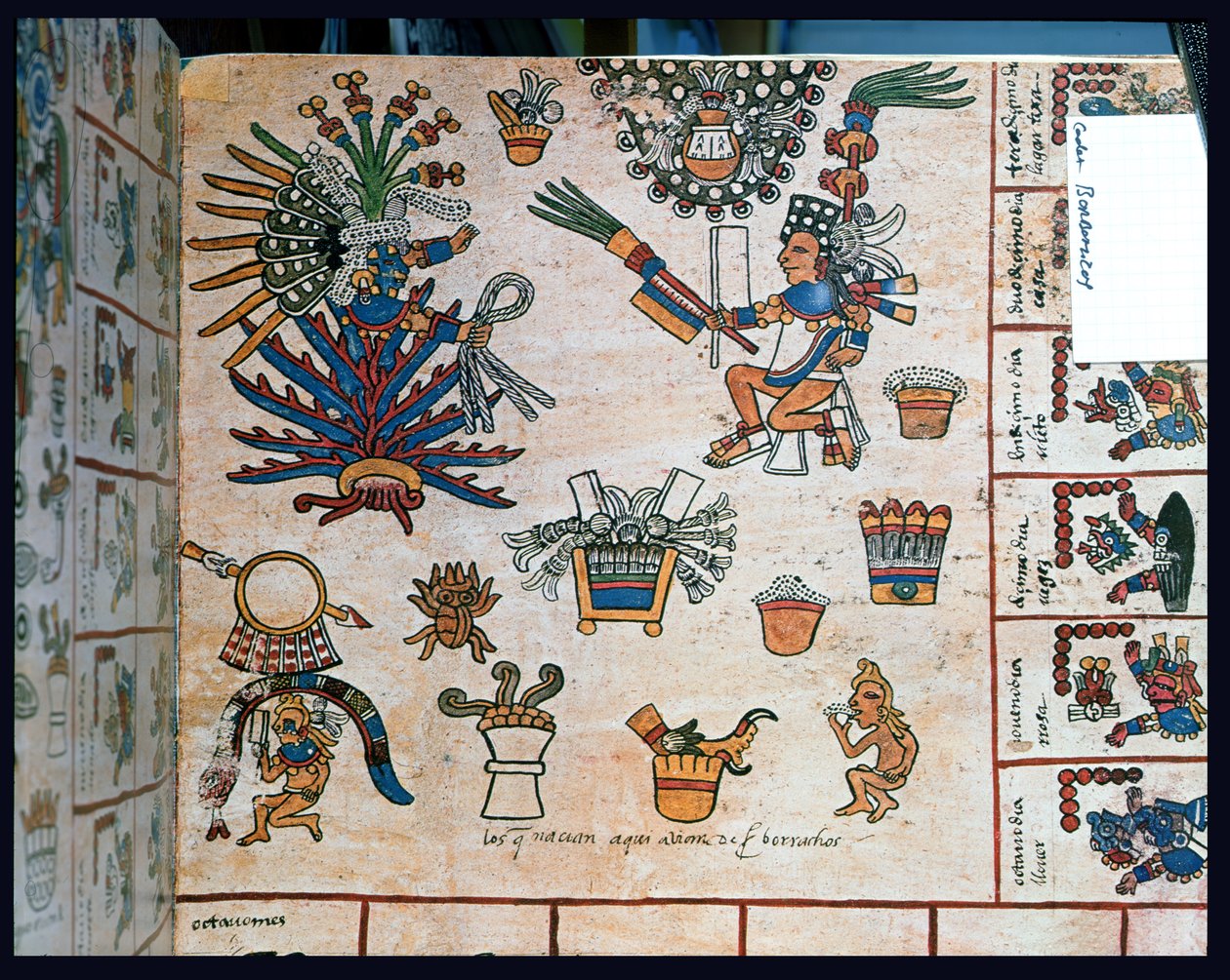 Aztec Codex Borbonicus, 'Tonalamatl', detalj som viser gudinnen Mayahuel sittende på en agaveplante av Pre Columbian