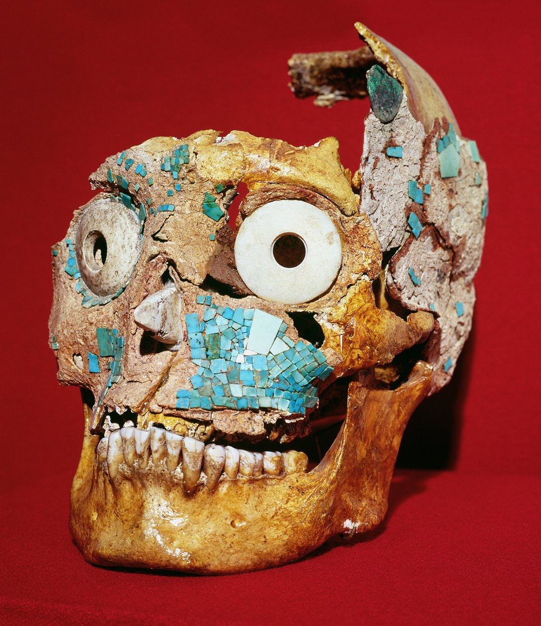 Hodeskalle dekorert med mosaikk i turkis og elfenben, Mixtec, fra Tomb 7, Monte Alban, 1300-1450 av Pre Columbian