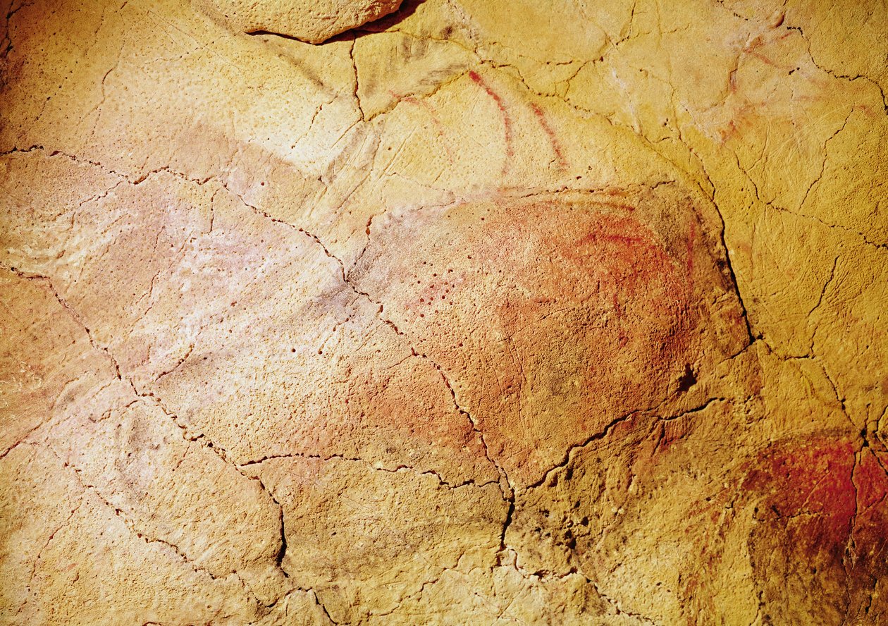 Bison, fra hulene i Altamira, ca. 15000 f.Kr. (hulemaleri) av Prehistoric