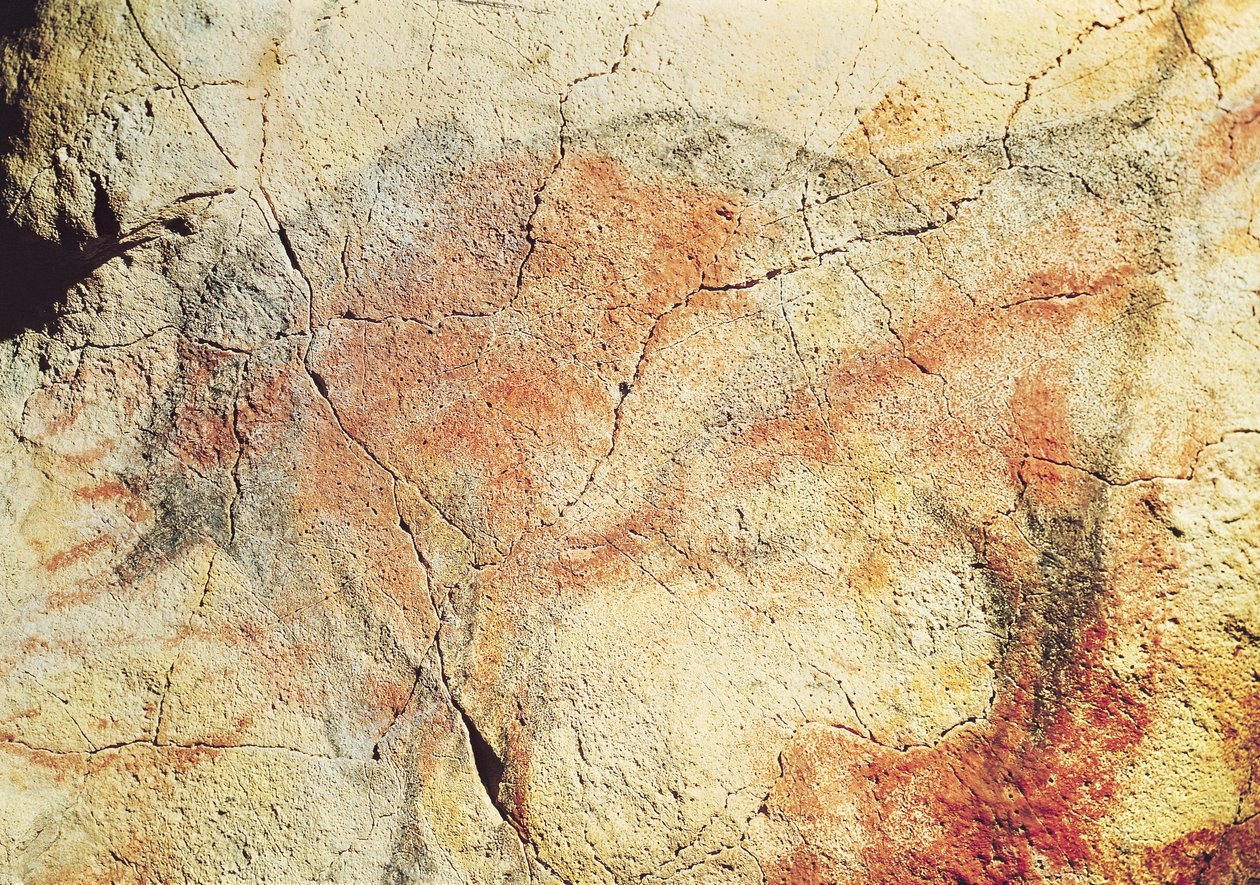 Bison, fra hulene i Altamira, ca. 15000 f.Kr. (hulemaleri) av Prehistoric