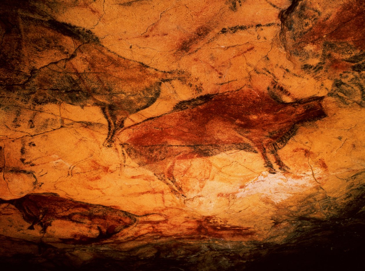 Bison fra hulene i Altamira, ca. 15000 f.Kr. (hulemaleri) av Prehistoric