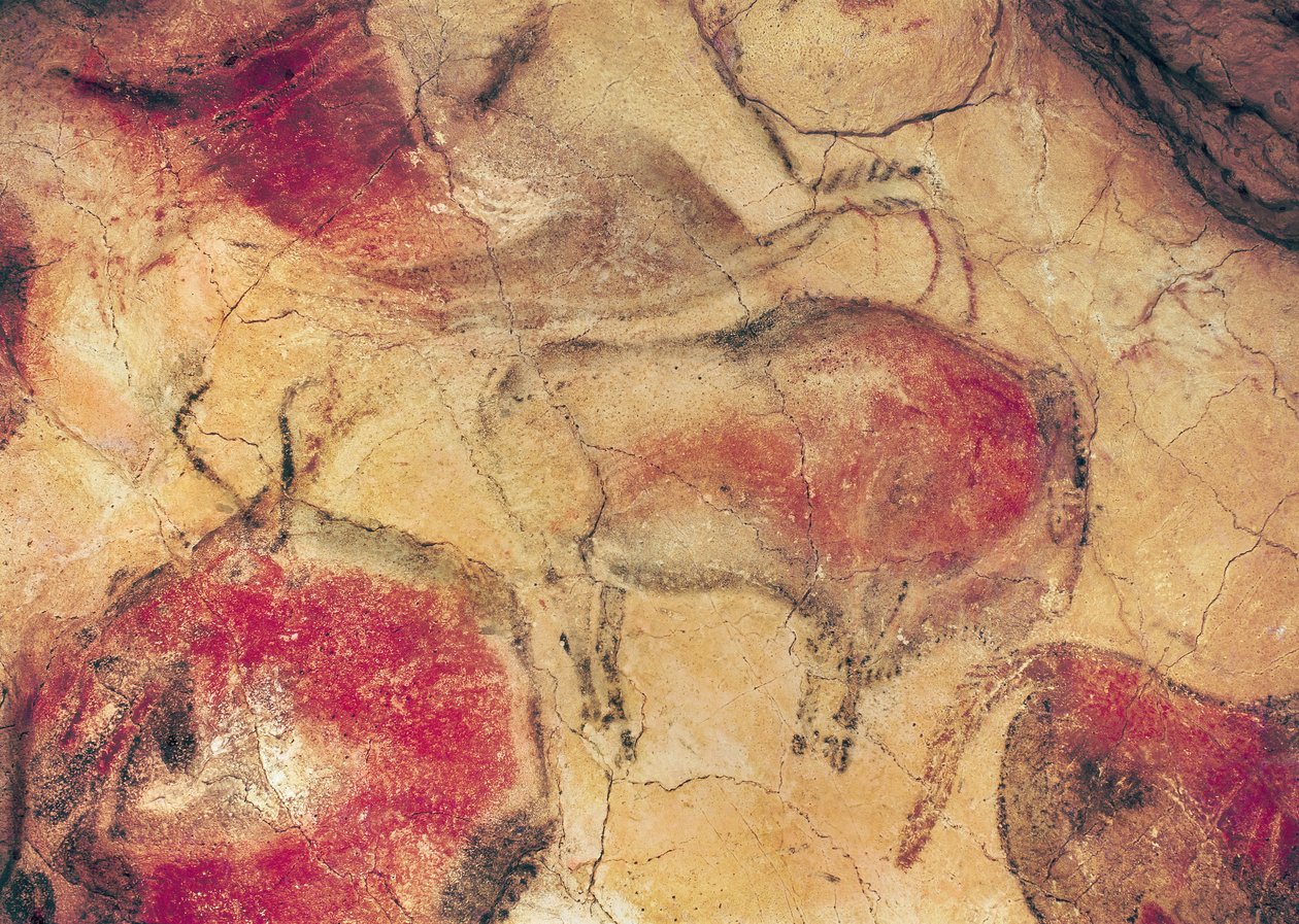 Bisoner, fra hulene i Altamira, ca. 15000 f.Kr. (hulemaleri) av Prehistoric