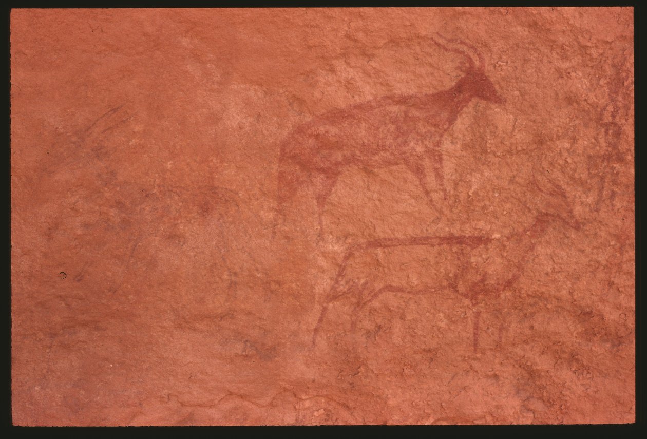 Kuer (fjellmaleri) av Prehistoric