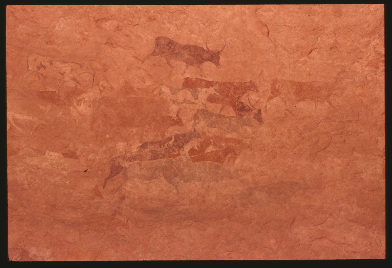 Kuer (fjellmaleri) av Prehistoric