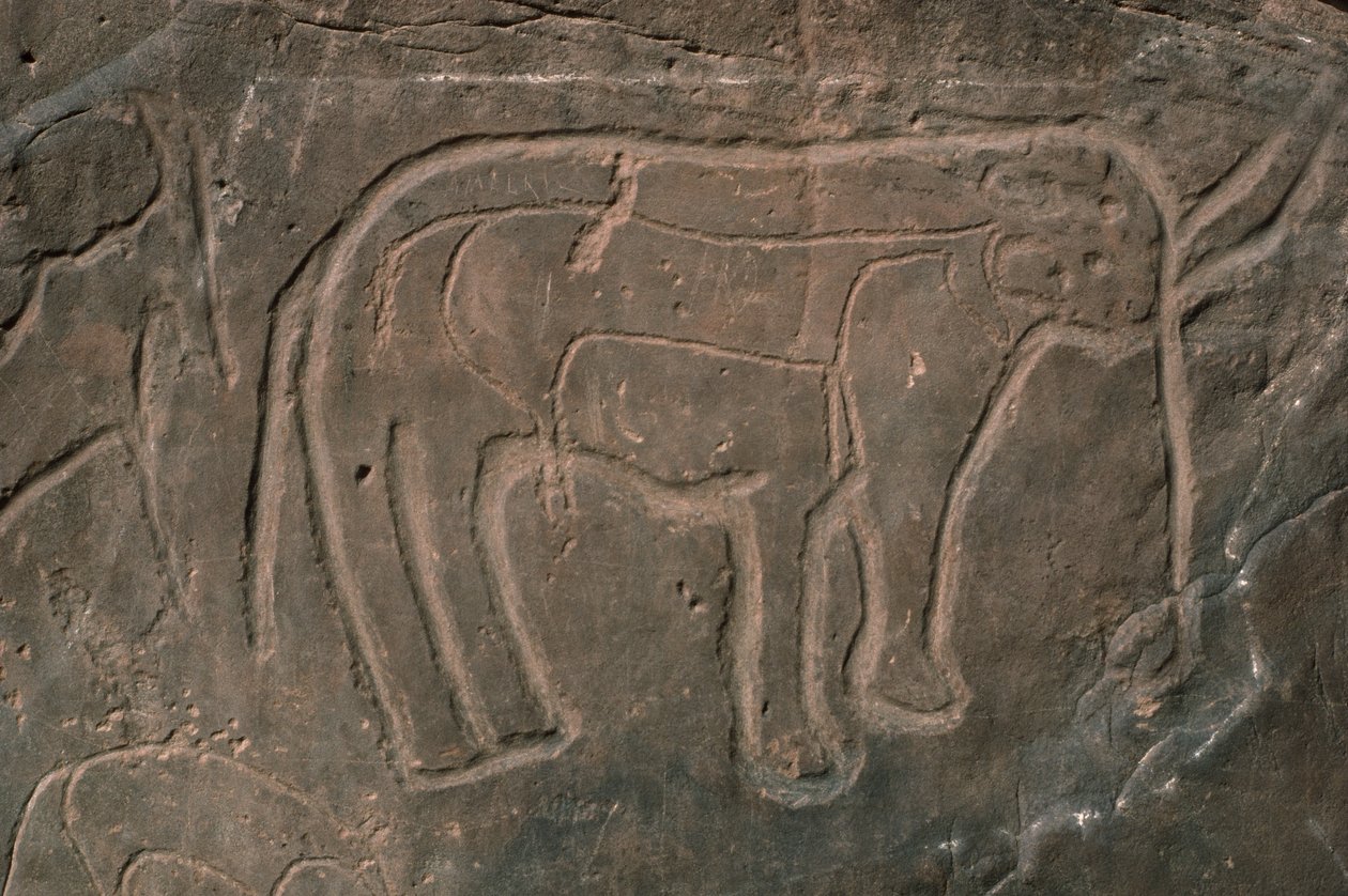 Mammoth (helleristning) av Prehistoric
