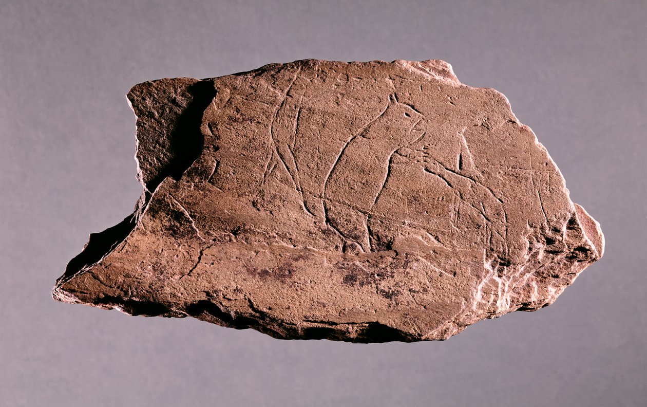 Pebble som viser en mann som blir angrepet av en bjørn, fra Pechialet, Dordogne (skifer) av Prehistoric