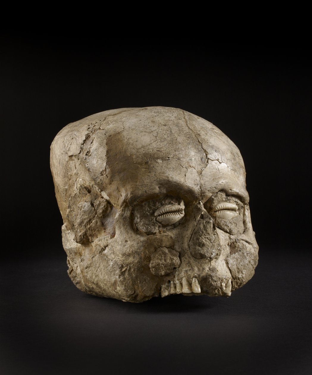 Portretthodeskalle med cowrie-skalløyne, Jericho, ca. 7. årtusen f.Kr. (hodeskalle, gips, skall) av Prehistoric
