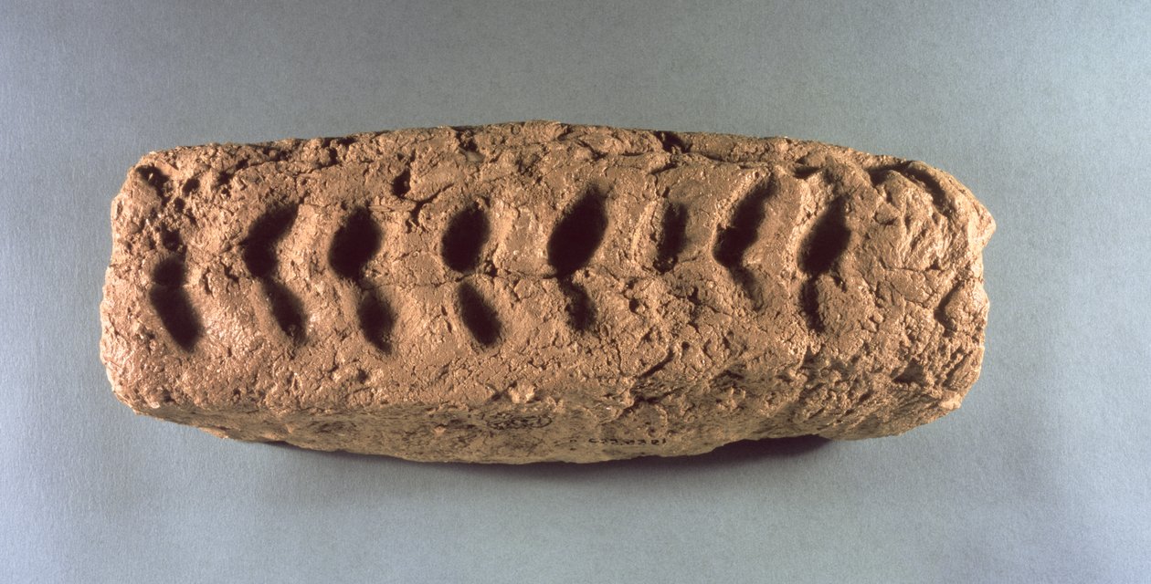Forhistorisk fragment fra Jeriko (slammurstein) av Prehistoric